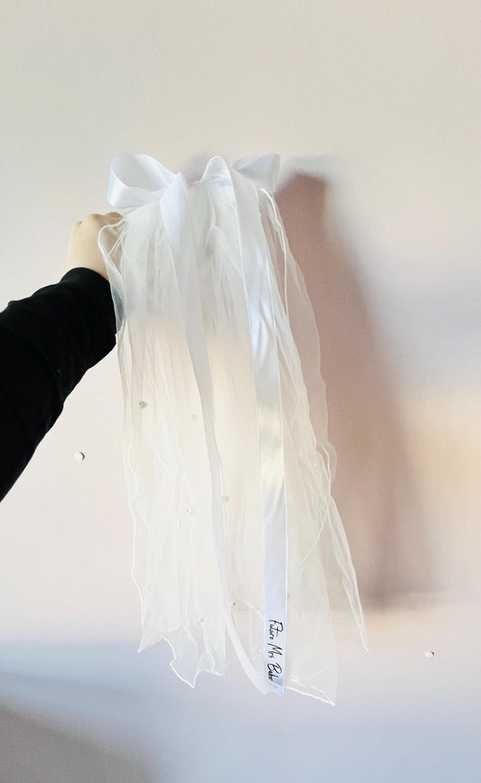 Wedding Bridal Head Veil, Short Veil for Bride to Be, Bride Accessories for Hen Party, Veil for Bachelorette, Veil with Jewels, Future Mrs